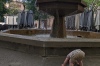 More handstands in Granada ES