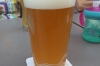 Testing the beer at the Capitán Amargo (Captain Bitter) craft pub, Granada ES
