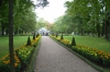 Peterhof Palace gardens. St Petersburg RU