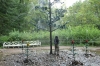 Peterhof Palace.  One of Nicolas's games was to get the young ladies to stand near the tree - and get wet!! St Petersburg RU