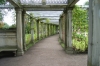 Gardens at the Catherine Palace. St Petersburg RU