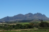Simonsig mountain from Beyerskloof Vineyard, Stellenbosch, South Africa