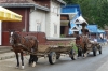 Horse & cart, Bukowina region, Romania