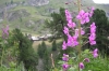 Between Zermatt and the Matterhorn, Zermatt CH