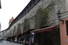 City Rampants, Tallinn EE