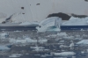 Travelling through the Lemaire Channel, Antarctica