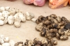 Dried potatoes. Pisac market PE