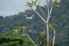 Air Berjaya landing on Tioman Island MY