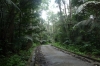 Road to Juara, Tioman Island MY