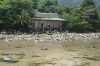 Dilapidated house by river at Juara beach, Tioman Island MY