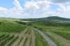 Wine Barrel viewing tower near Malá Táňa, SK