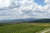 Wine Barrel viewing tower near Malá Táňa, SK