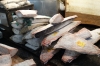 Frozen tuna, Tsukiji Market, wholesale market specialising in fish, Tokyo, Japan