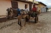 Horse & cart, Trinidad city, Cuba