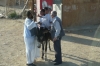 Young Egyptian boys show off at a rail crossing stop - told not to hit the donkey