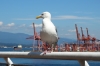 Canada Place, Vancouver