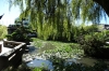 San Yat-sen Park, Vancouver