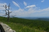 Skyline Drive from Front Royal to Waynesboro