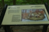 Mabry Mill, Blue Ridge Drive, 176mile, VA