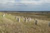 Little Bighorn, Custer's Last Stand WY
