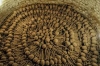 Catacombs of San Francisco, Lima P - https://traveladdicts.net/last-day-in-lima-peru/