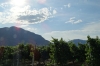 Apple orchards near Crowsnest Vineyards, Cawston