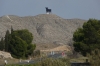 Another bull, closer to Alfajarin ES